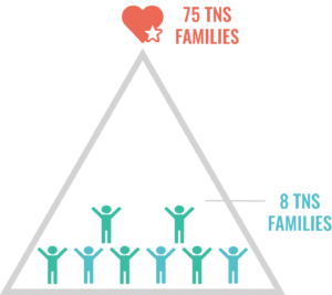 TNS Families Triangle